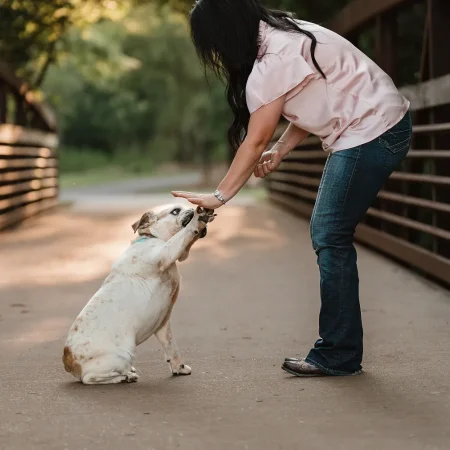 Dog Training